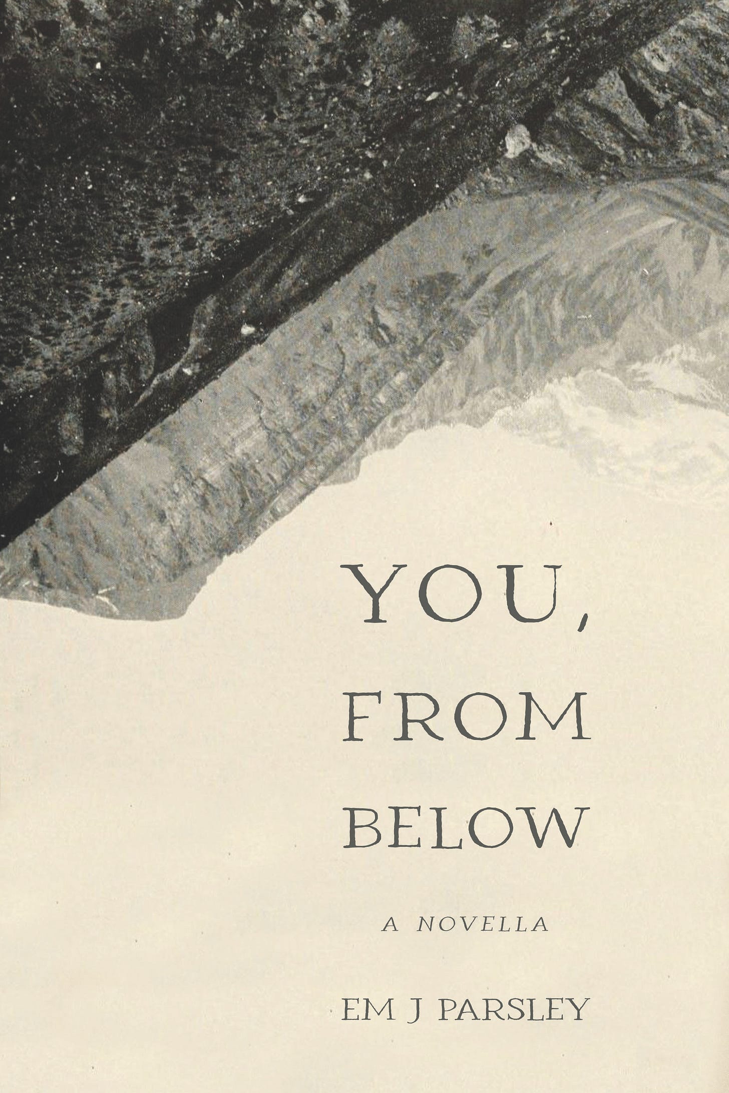 The book cover of You, From Below