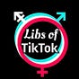 Libs of TikTok's avatar