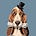 The Hound Press's avatar