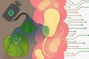 gut microbe illustration