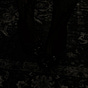 يَّْٰ's avatar