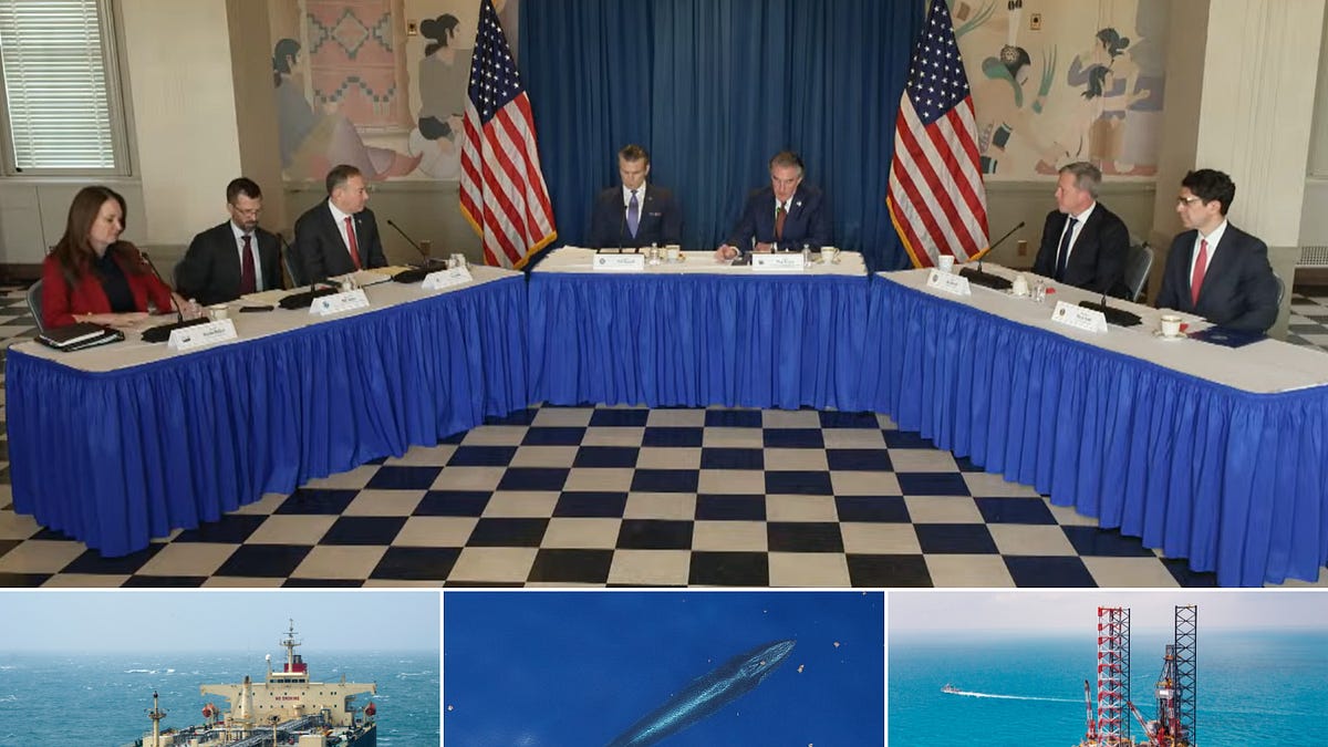 MAGA God Squad Sentences Critically Endangered Whale Species to Extinction