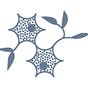 PsicheLibera's avatar