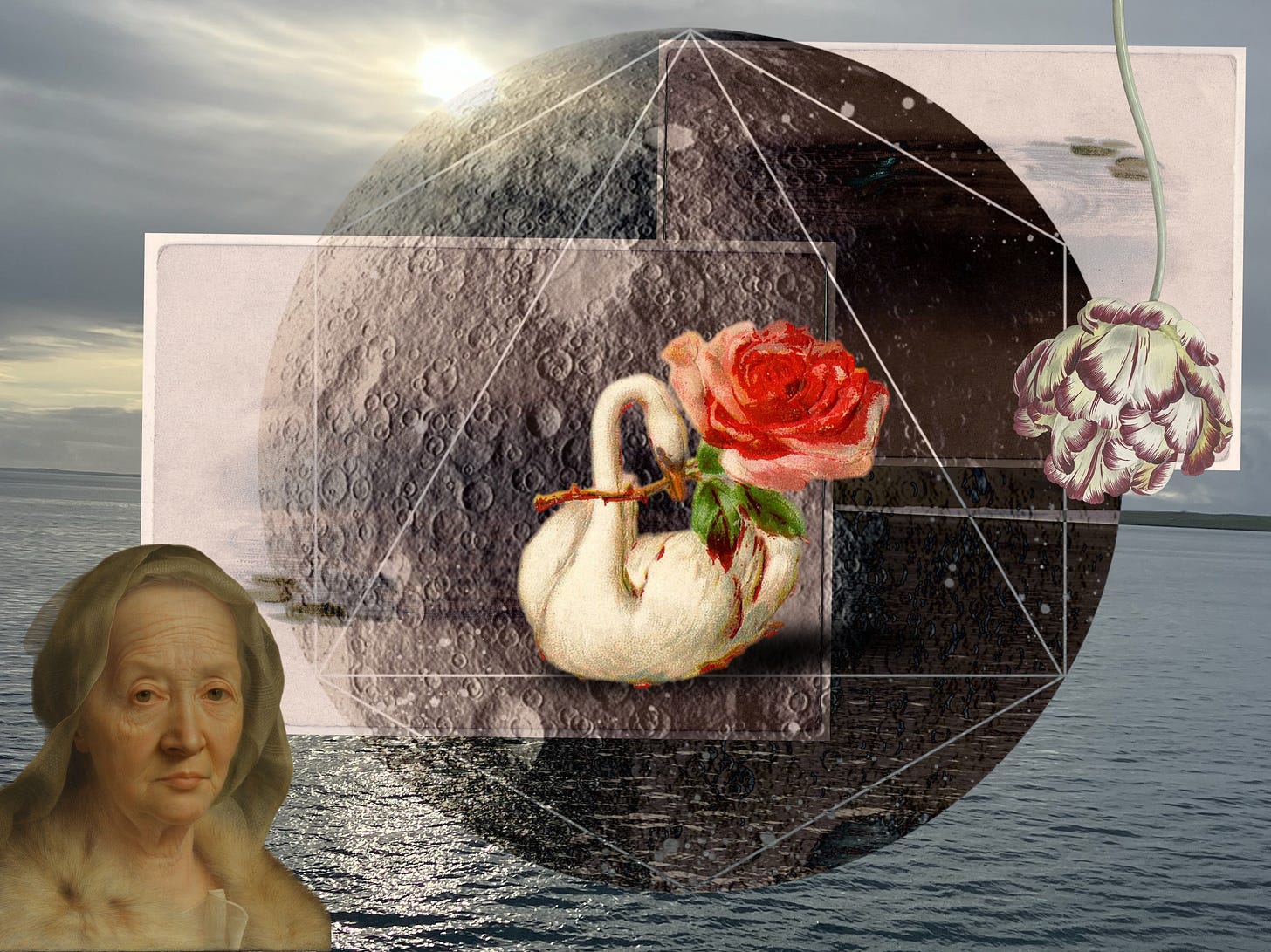 A digital collage of a seascape, a dark moon, a swan bleeding and holding a dying rose, a painting of an old, beautiful serious faced woman and an upside down tulip