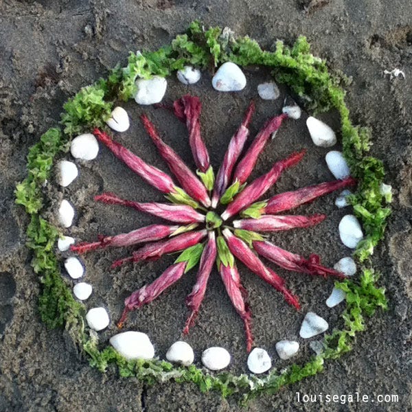 Nature Mandalas | Louise Gale Mixed Media Botanical Mandala Color Artist