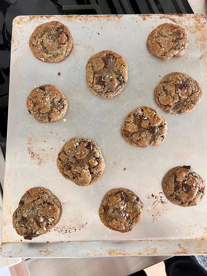 Chocolate Ginger Poppyseed Cookie