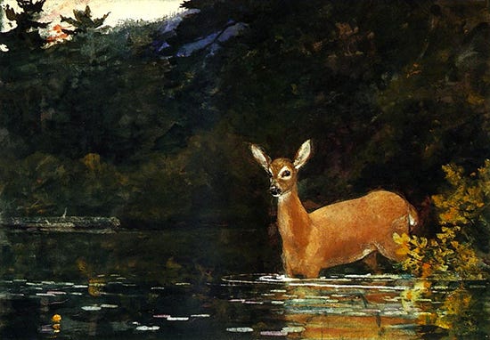 Solitude, Watercolor, 1889, Winslow Homer Watercolor of lone deer by Winslow Homer