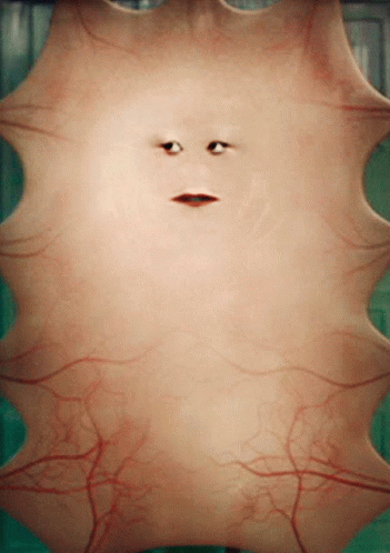 Doctor Who Dr Who GIF - Doctor Who Dr Who The End Of The World - Discover &  Share GIFs