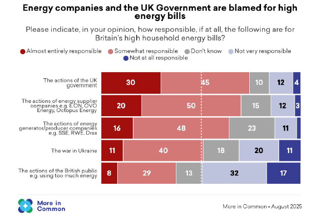 Figure 4 - Government and Energy Companies to Blame for High Energy Bills