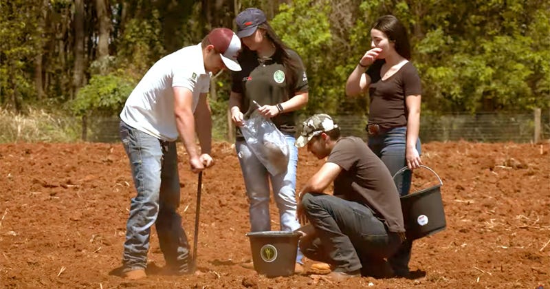 Quatro pessoas olhando uma delas plantando na terra Quatro pessoas olhando uma delas plantando na terra