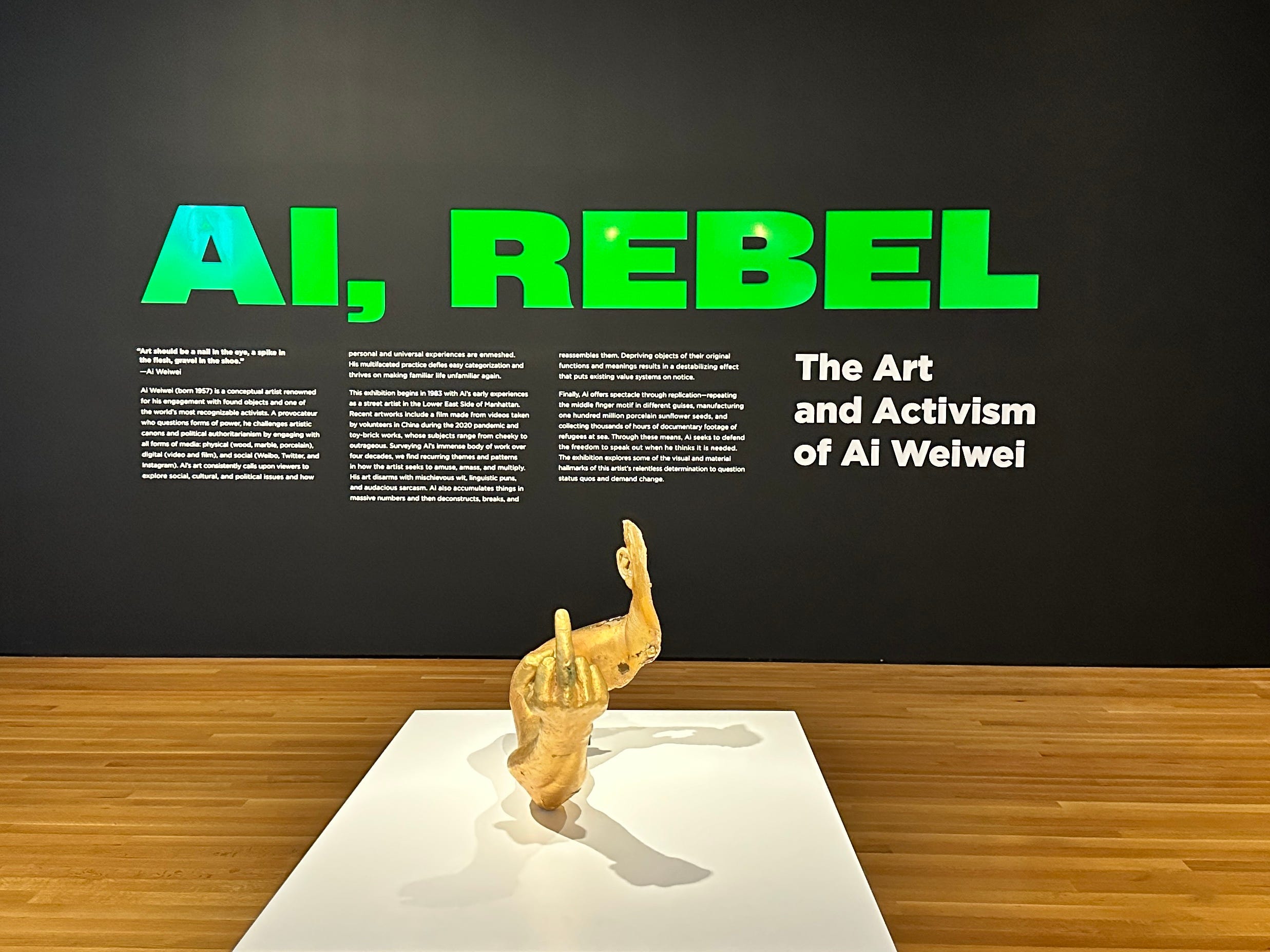 Ai and AI - by 逸安- The Experiments