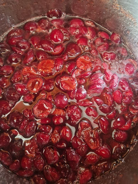 Apricot tree, a trio of shrubs, morello jam making