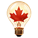 CanInnovate