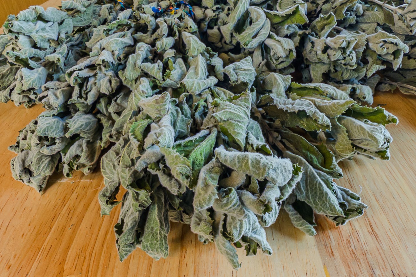Mehrere Bündel getrockneter Minze liegen locker auf einem hellen Holztisch. Die ehemals frischen Blätter sind nun graugrün bis silbrig, gekräuselt und spröde, mit deutlich sichtbarer filziger Oberfläche. Das Bild zeigt den Zustand der Minze nach dem Trocknen sehr nah und detailreich.