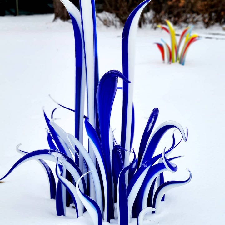 Glass sculptures on display at a glassblower's studio