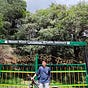 anurag's avatar