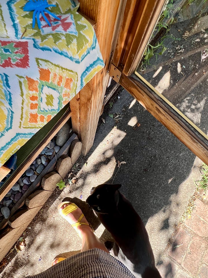 Black cat in real life and painted inside the Free Flower Stand featured in the PDX Sidewalk Joy Map