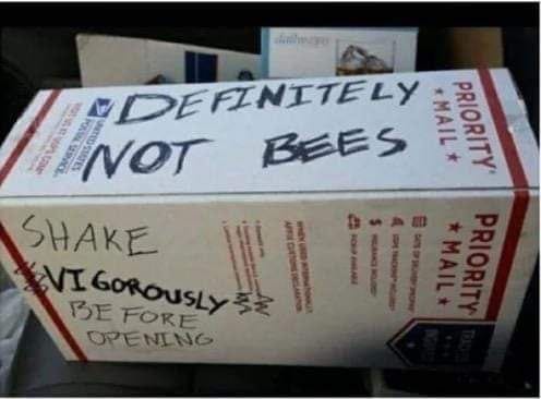 MEME DROP #285: Definitely Not Bees. 