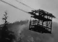 Early Sierra Logging Forged El Dorado’s Rise — and Left a Legacy Carved in Wood