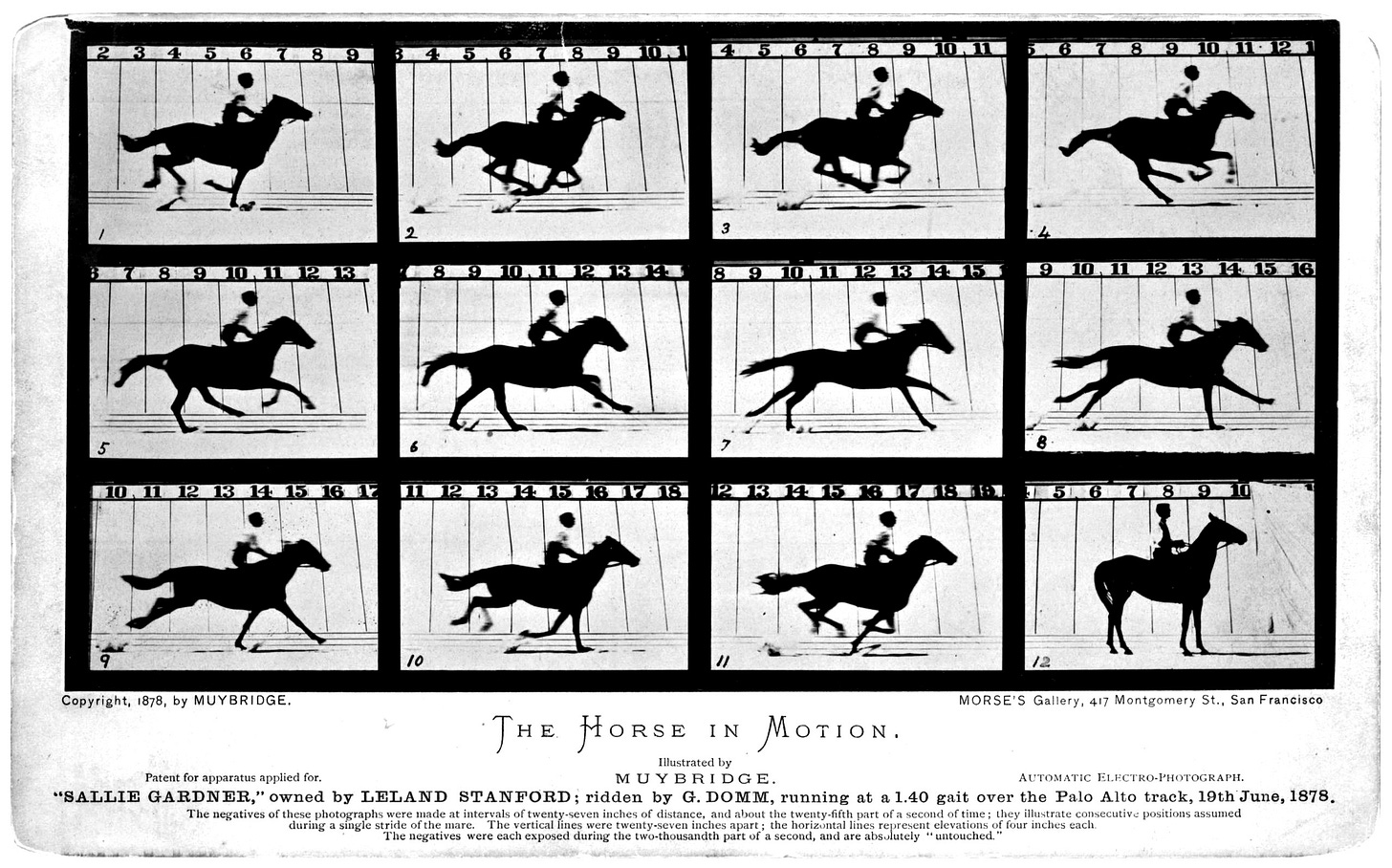 As the image's caption says: a series of 12 black-and-white still photos, labeled "The Horse in Motion (Illustrated by Muybridge)." Each photo except the last shows a galloping horse (with rider) in mid-stride as it ran around a race course. The horse's name is "Sallie Gardner"; the rider's, "G. Domm." Other information printed on the card says that Sallie Gardner -- owned by 19th-century industrialist and politician Leland Stanford -- was "running at a 1:40 gait over the Palo Alto track, 19th June, 1878." The final frame shows the horse back at the beginning of the track, standing still. As the image's caption says: a series of 12 black-and-white still photos, labeled "The Horse in Motion (Illustrated by Muybridge)." Each photo except the last shows a galloping horse (with rider) in mid-stride as it ran around a race course. The horse's name is "Sallie Gardner"; the rider's, "G. Domm." Other information printed on the card says that Sallie Gardner -- owned by 19th-century industrialist and politician Leland Stanford -- was "running at a 1:40 gait over the Palo Alto track, 19th June, 1878." The final frame shows the horse back at the beginning of the track, standing still.