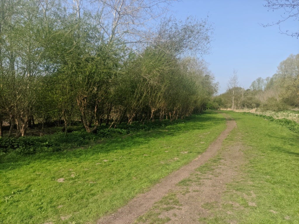 A wide grassy area is used for the start line.