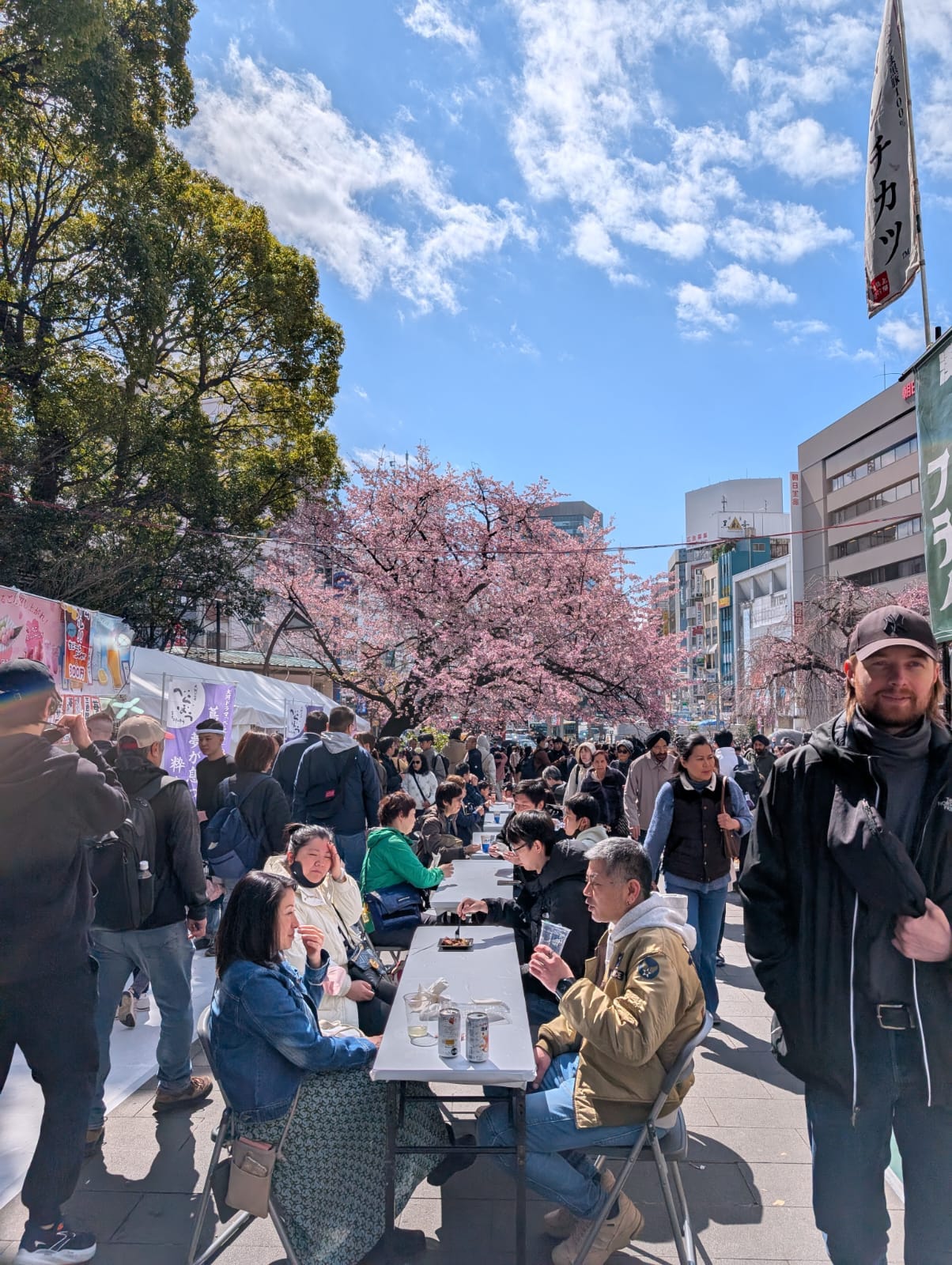 Cherry blossom at Ueno Park
