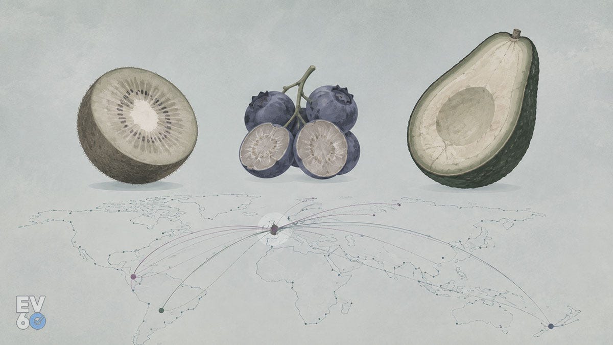 Kiwis de Nouvelle-Zélande, myrtilles du Pérou, avocats chiliens : des milliers de kilomètres parcourus pour finir sans saveur dans nos assiettes