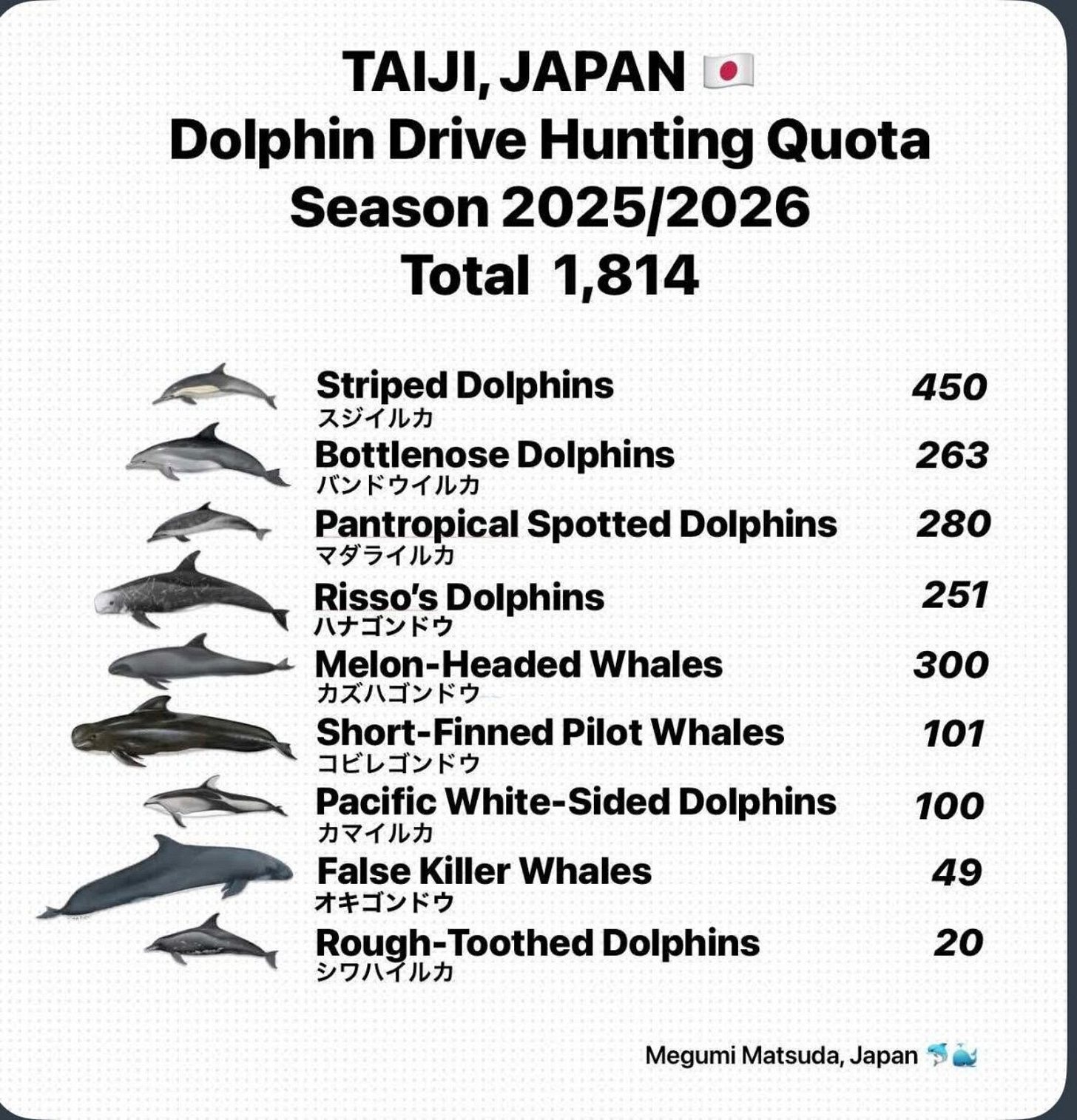 Taiji Hunters Kill Ten Dolphins on First Day of Hunt - International Marine  Mammal Project