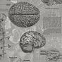 🧠يوميات المخ's avatar