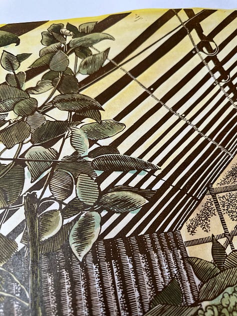 Details of 'Green House' Coloured