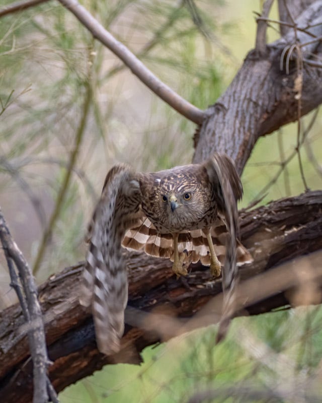 20250315-Sweetwater-9-Edit.jpg 20250315-Sweetwater-9-Edit.jpg