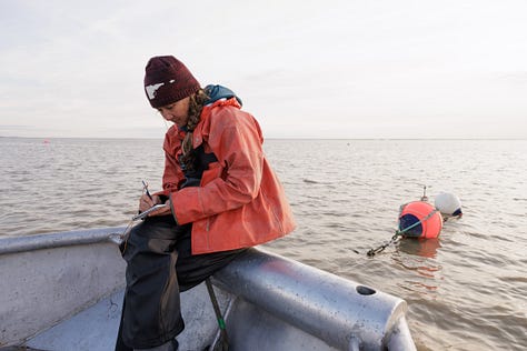 Photos of a woman writing in a waterproof notebook, picking sockeye salmon out of a gill net, and fishing for salmon in Alaska