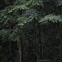 褰雨起書's avatar