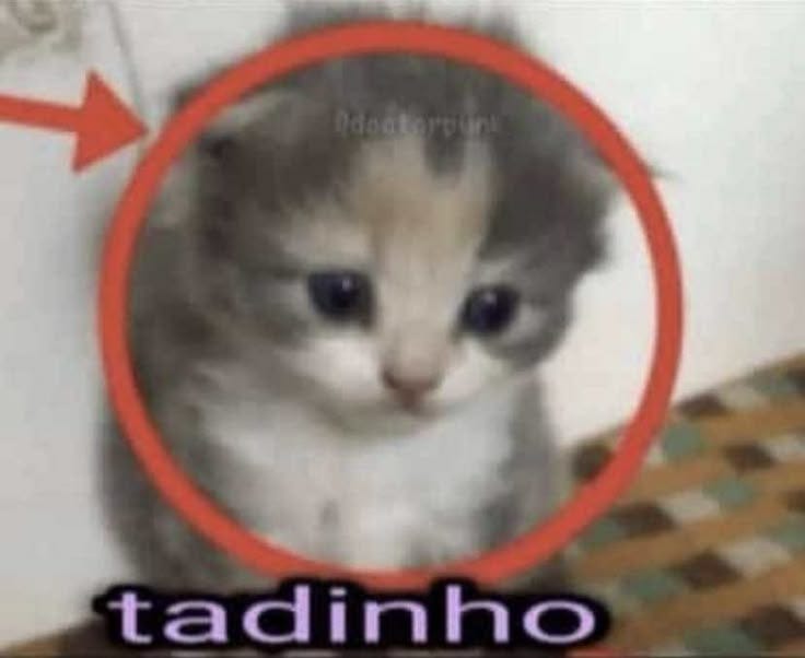 tadinho