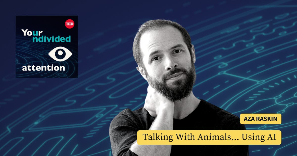 Talking With Animals... Using AI