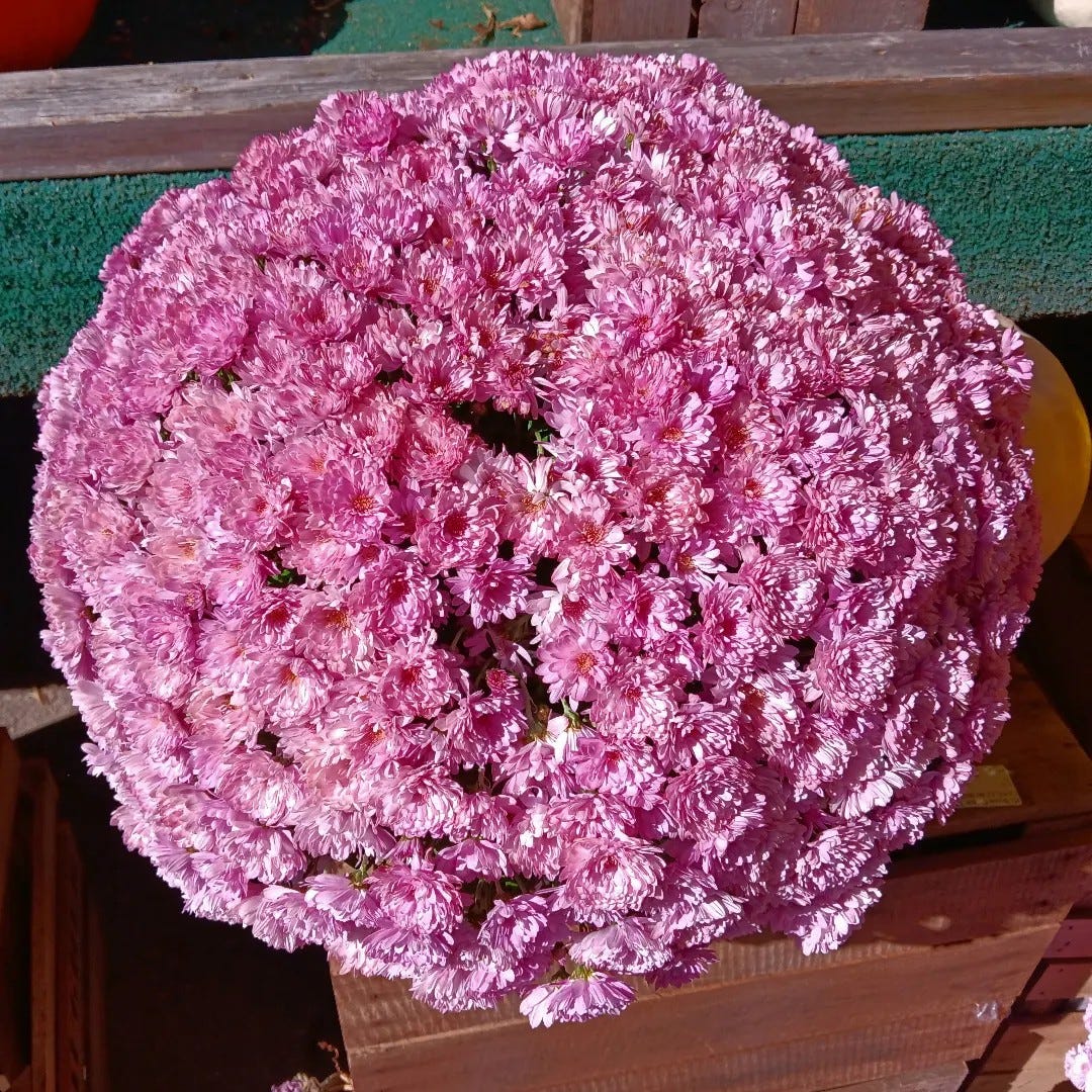 No photo description available.