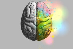 The theory suggests that psychedelic drugs reverse the hierarchical relationship between the two hemispheres of the brain, releasing the right hemisphere from inhibition by the left.