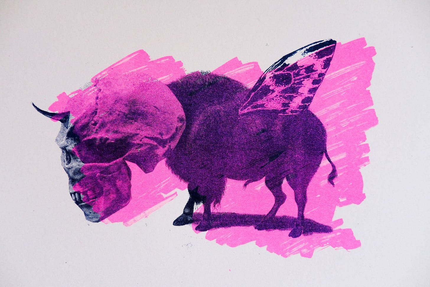 DSCF9724_web.jpg DSCF9724_web.jpg