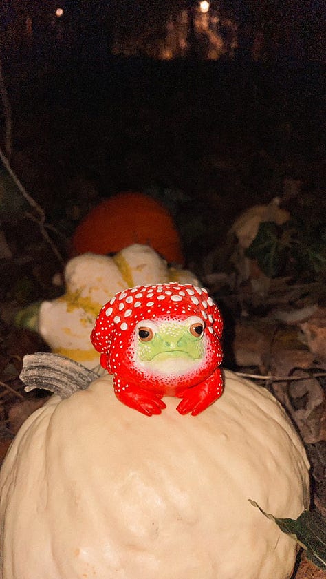 1) A sage green tea pot sitting next to it's lid on a black & white speckled counter. 2) Two dark purple and white china tea cups filled with tea & orange slices, sitting next to a sprig of holly berries. 3) A frog in a red & white mushroom outfit, resting atop a beige-coloured pumpkin. 4) Out a window, a golden sunrise across a city-scape. 5) A stack of six artistically decorated soda cans. 6) 5 old & differently shaped keys.