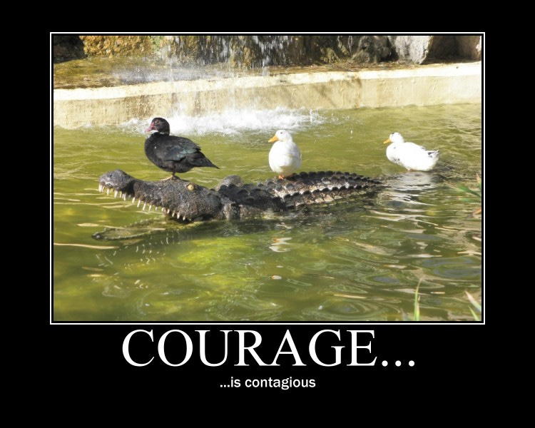 Courage is contagious - SLS