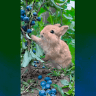 Andrew Zimmern Explains Why Your Five Guys Order Is $24! Tabs, Mon., March 11, 2024