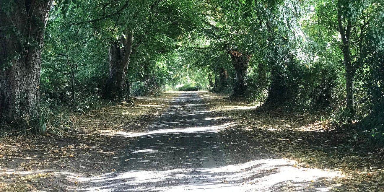 The gnomes of Crocker End