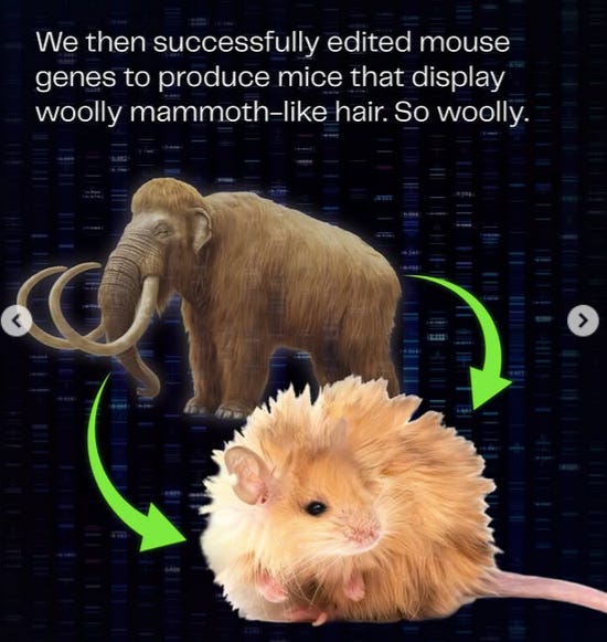 An image of a woolly mammoth on a black background that resembles an image of a DNA sequence. Above the mammoth there's text that reads: “We then successfully edited mouse genes to produce mice that display woolly mammoth-like hair. So woolly.” Below the mammoth is an image of a woolly mouse. Green arrows go from the mammoth to the mouse.