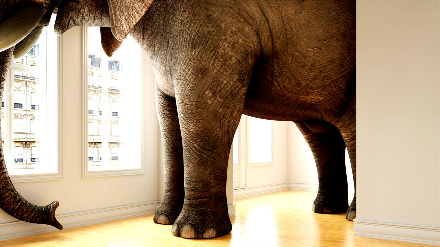 The Elephant in the Room - Leaders Edge Training