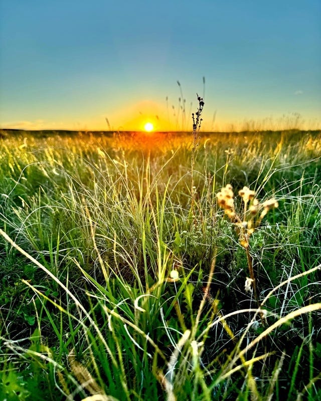 A sunset over a field of grass

AI-generated content may be incorrect.