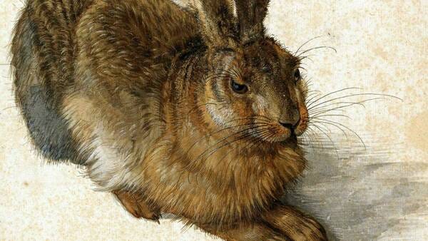 On Caring About Other Animals: A Theological Reflection