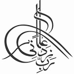 Monthly Musings: A Curated Reading List