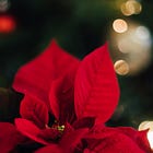 Merry Christmas from Unbound