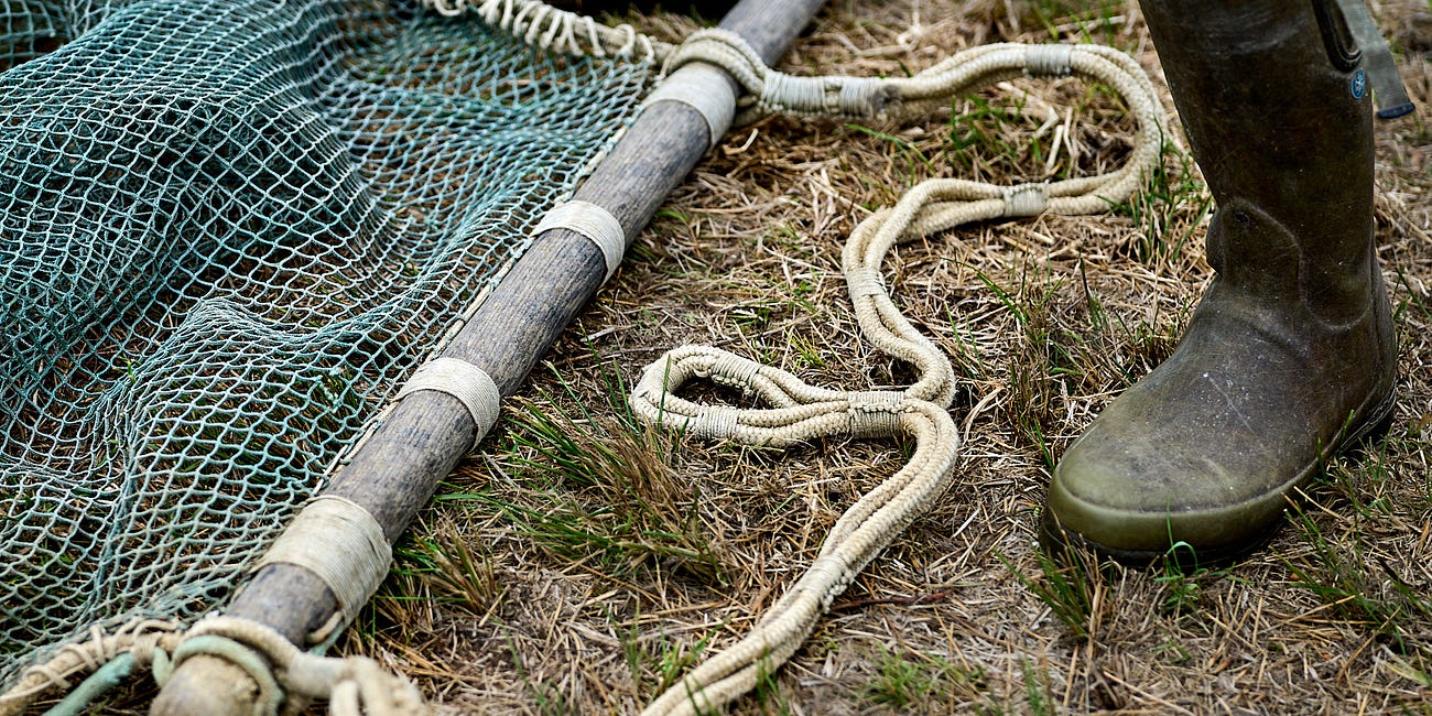 Ökosystem Teich: Vom Vorurteil zur Wertschätzung