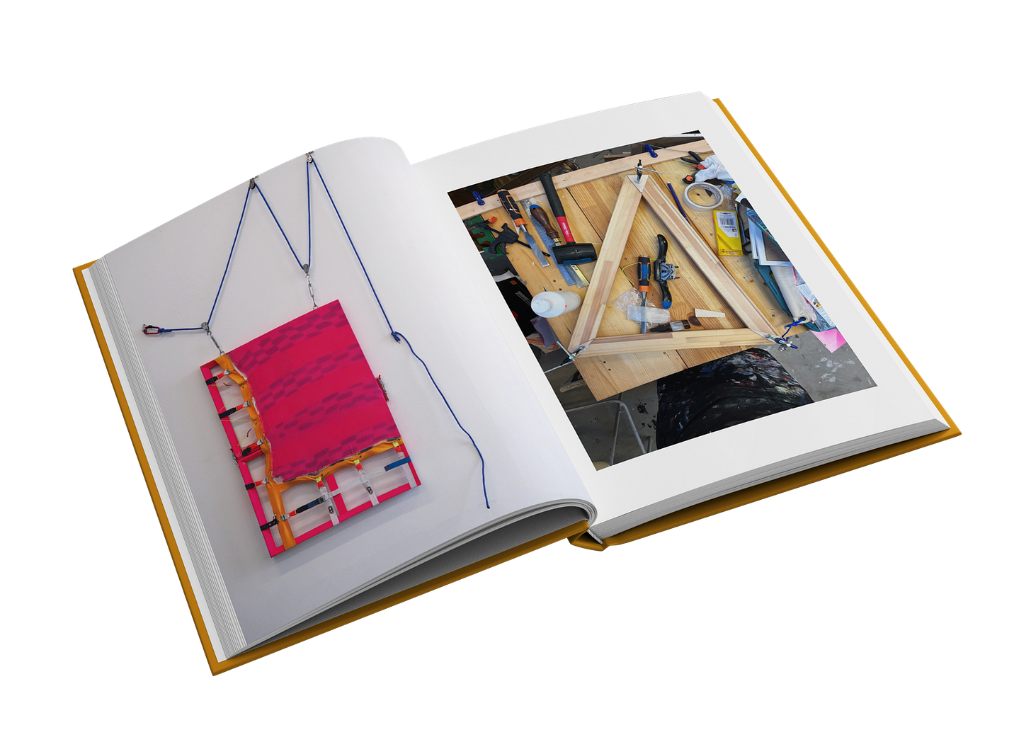 Professional Girl Guide by Eva Dixon – Snap Collective Publishing K/S